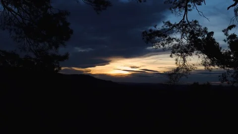 Silhouettes off pine tree branches in the wind while sunset Stock Footage 129009132