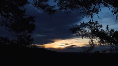 Silhouettes off pine tree branches in the wind while sunset Stock Footage 129009687