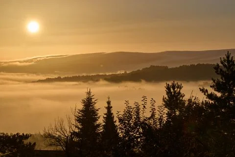 Silhouettes of pine trees against a dense morning inversion fog layer and sun Stock Photos