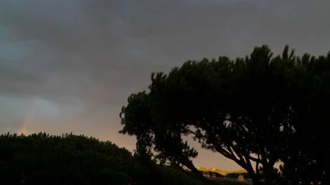 Silhouettes of pine trees on the background of the sunset sky. A strong wind Stock Footage 185528915