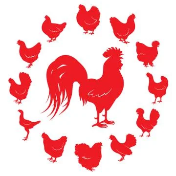 Silhouettes of rooster and chickens of different breeds Stock Illustration