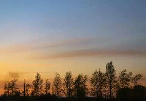 Silhouettes of row of trees backdrop of and beautiful sky during sunset Stock-Fotos