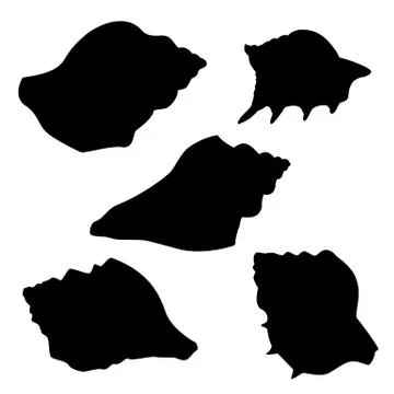 Silhouettes of seashells Stock Illustration