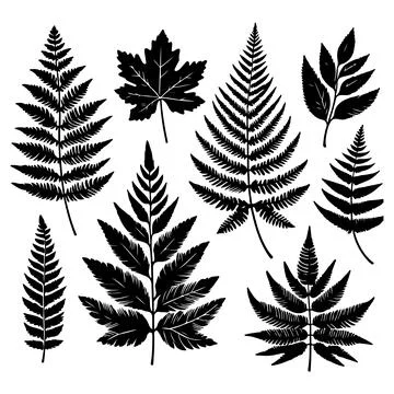 Silhouettes set of black Leaf Inked. Vector isolated illustration イラスト素材