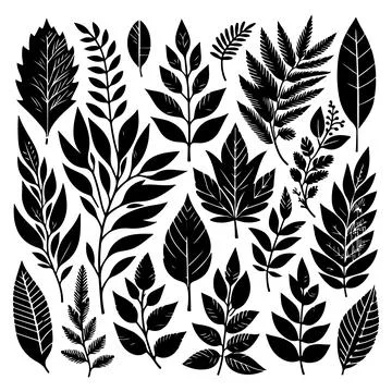 Silhouettes set of black Leaf Inked. Vector isolated illustration Stock Illustration