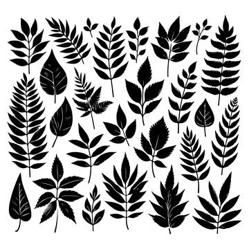 Silhouettes set of black Leaf Inked. Vector isolated illustration イラスト素材