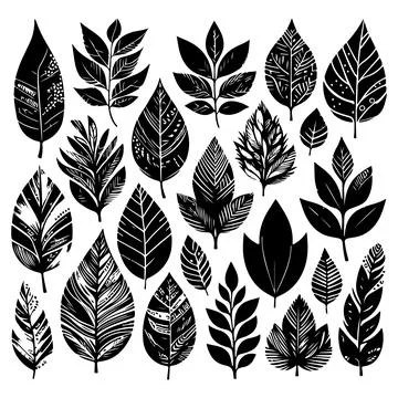 Silhouettes set of black Leaf Inked. Vector isolated illustration 스톡 일러스트