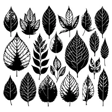 Silhouettes set of black Leaf Inked. Vector isolated illustration Stock Illustration
