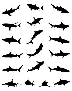 Silhouettes of sharks Stock Illustration