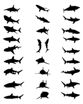 Silhouettes of sharks Stock Illustration