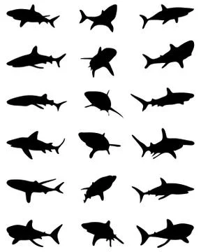 Silhouettes of sharks Stock Illustration