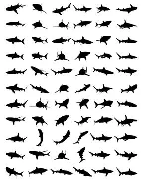 Silhouettes of sharks Stock Illustration