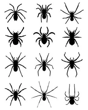 Silhouettes of spiders Stock Illustration