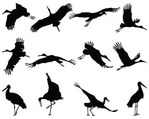 Silhouettes of storks Stock Illustration
