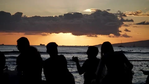 Silhouettes at sunset 119 Stock Footage 155495282