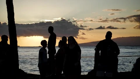 Silhouettes at sunset 120 Stock Footage 155495287