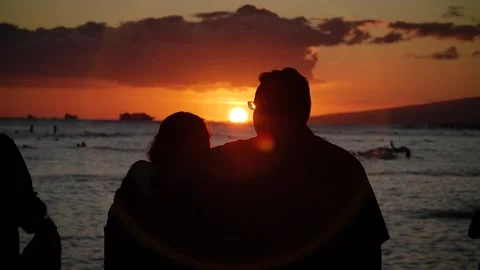 Silhouettes at sunset 124 Stock Footage 155495294