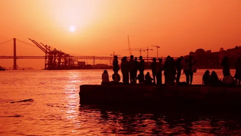 Silhouettes at sunset Stock Footage 233990061