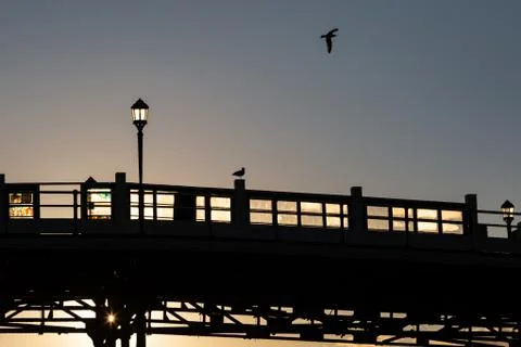 Silhouettes at Sunset Stock Photos