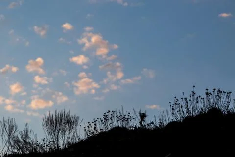 Silhouettes at Sunset Stock Photos
