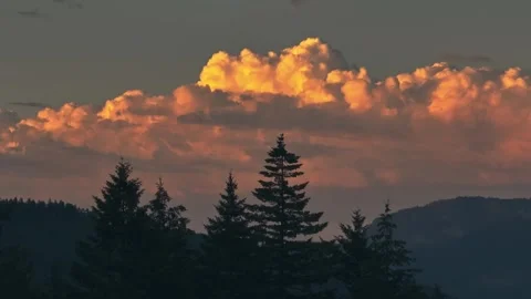 Silhouettes Tall Pine Trees Sunrise Oregon Washington State Pacific Northwest Video stock 280702972