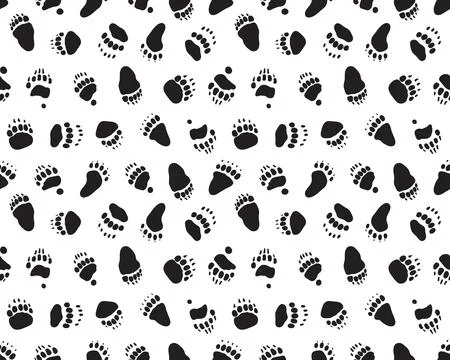 Silhouettes of trace of bears Stock Illustration