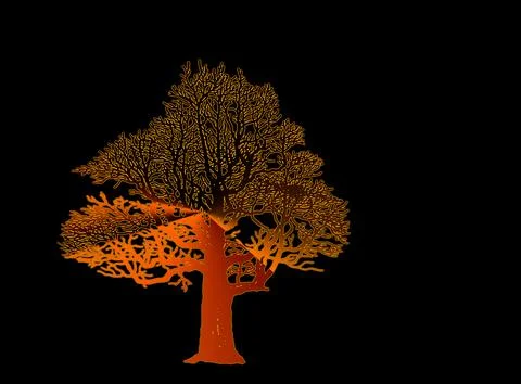 Silhouettes of a tree on a black background Stock Illustration