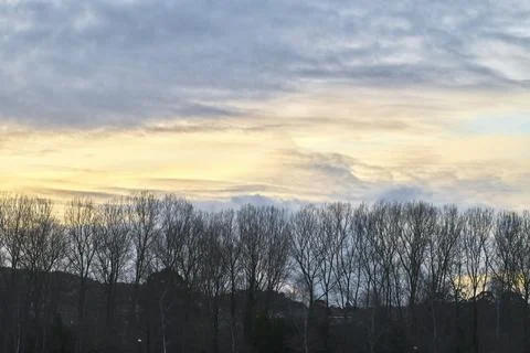 Silhouettes of tree branches and clouds at sunset. Stock Photos