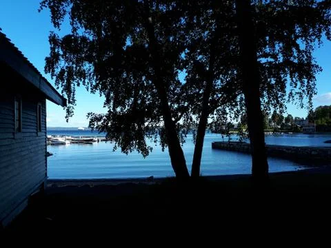 Silhouettes of trees against the backdrop of blue sea Stock Photos