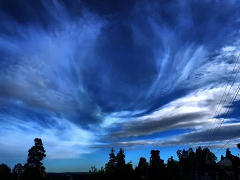 Silhouettes of trees against the backdrop of a dramatic sky Stock Photos