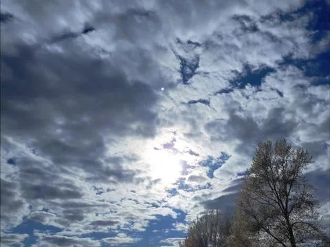 Silhouettes of trees against the backdrop of a dramatic sky Stock Photos