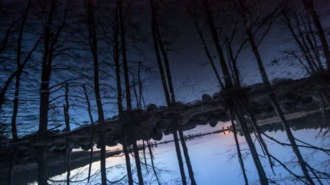Silhouettes of trees are moving in front of the starry sky mirrored in a pond Stock Footage 205221709