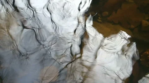 Silhouettes of trees are reflected in the swaying water of the stream Stock Footage 171370339