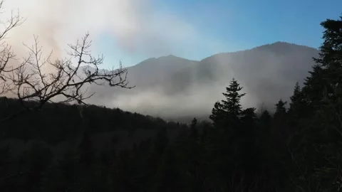Silhouettes of trees on the background of mountains Video stock 262034046