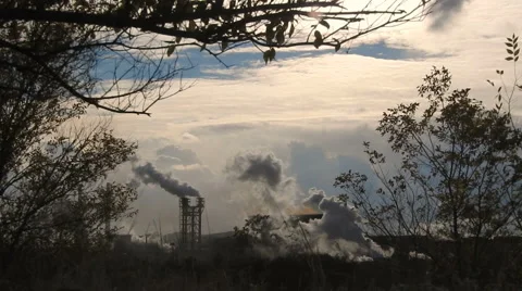 Silhouettes of Trees in the Background Smoking Chimneys of the Plant. 库存影片 68838596