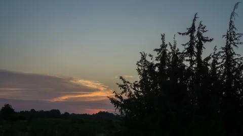 Silhouettes of trees in the evening against the backdrop of clouds and the Stock Footage 249763420