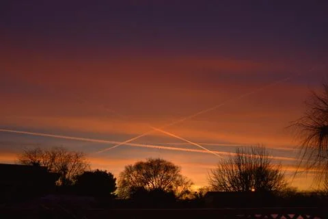 Silhouettes of trees in front of a dramatic sky in Brightlingsea, Essex 스톡 사진