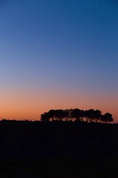 Silhouettes of trees on a hill in the background of the rising sun. Beautiful Stock Photos