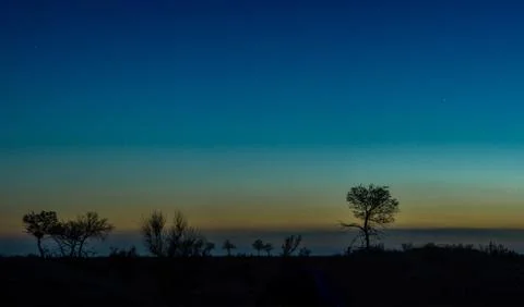 Silhouettes of trees on hill Stock Photos