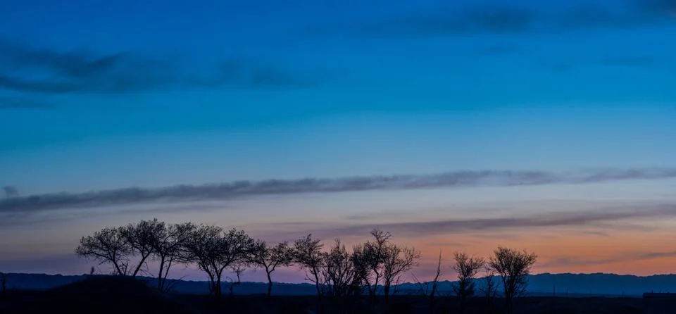 Silhouettes of trees on hill Stock Photos