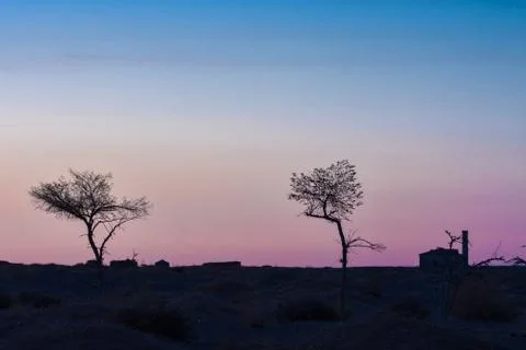Silhouettes of trees on hill Stock Photos
