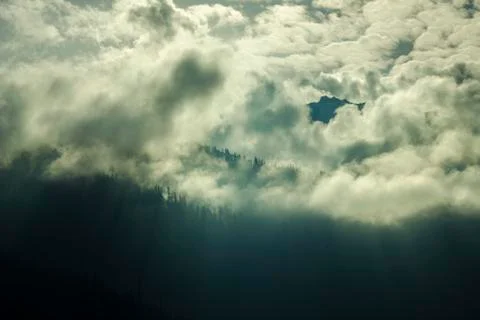 Silhouettes of trees on a mountain in the clouds Stock Photos