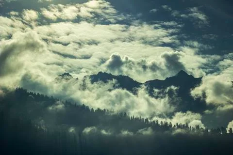 Silhouettes of trees on the mountain Stock Photos