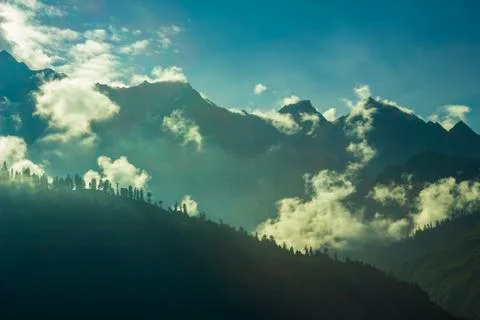 Silhouettes of trees on the mountains in the clouds Stock Photos