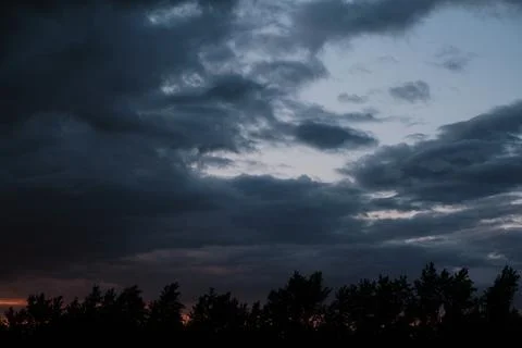 Silhouettes trees, stormy dramatic clouds during evening sunset. Stock Photos