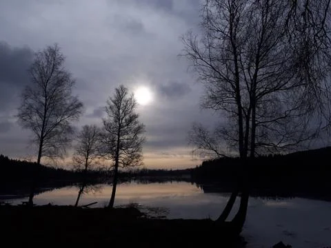 Silhouettes of trees at sunset Stock Photos