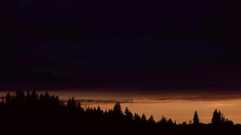Silhouettes of trees at sunset Stock Photos