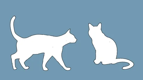 Silhouettes of two drawn cats with animated outline Stock Footage 169462927