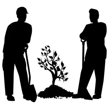 Silhouettes of two men in work clothes with shovels stand next to young seedling Illustration