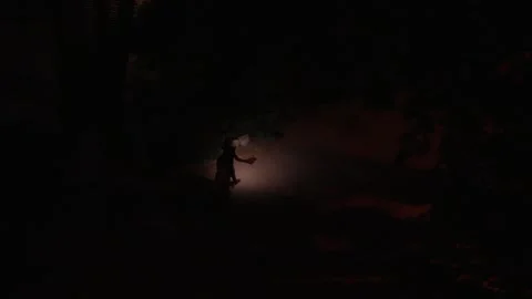 Silhouettes of two people walking in night courtyard with flashlights. Vídeos de archivo 339231158